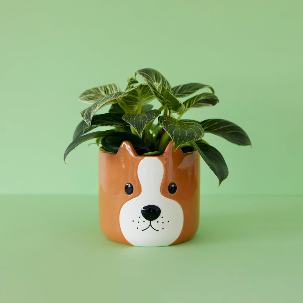 Pot de fleurs Woof!