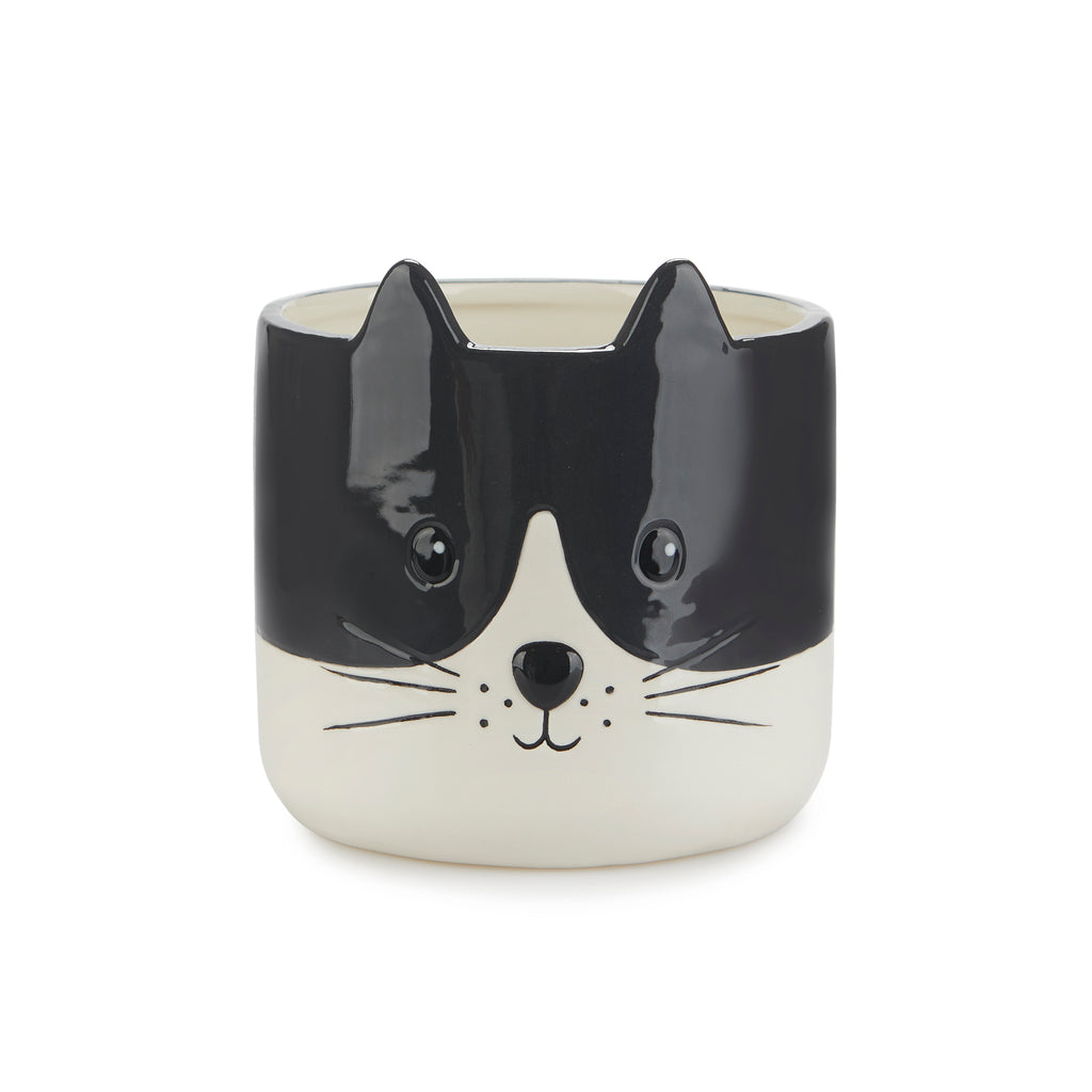 Cache-pot chat