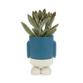 Mini pot de fleurs Mr. Standy