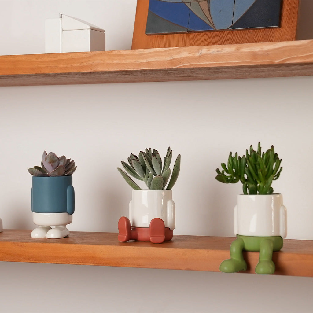 Pot de fleurs Mini Mr. Sitty