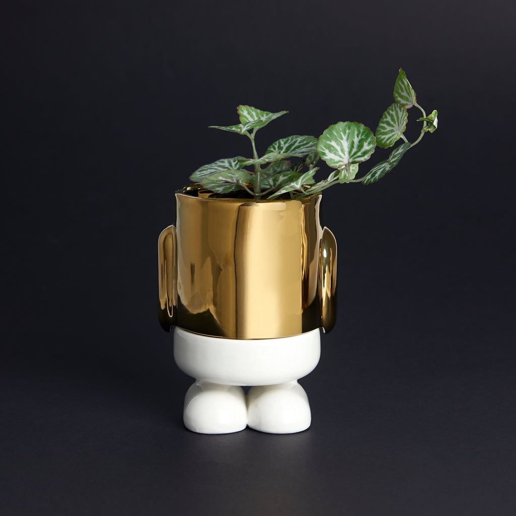 Mini pot de fleurs Mr. Standy