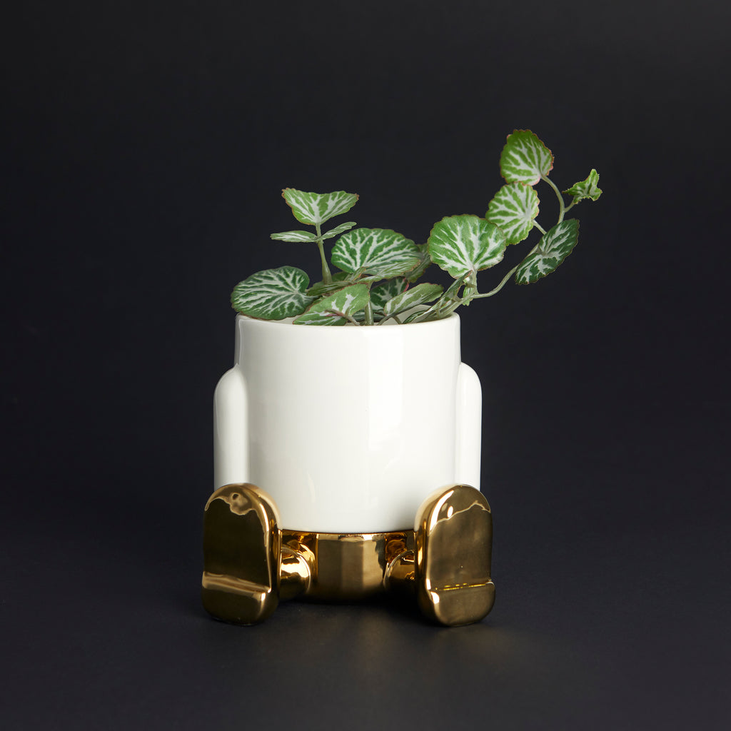 Pot de fleurs Mini Mr. Sitty