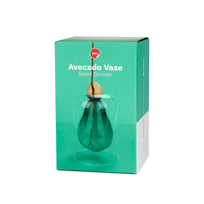 Vase de germination Avocado Vase