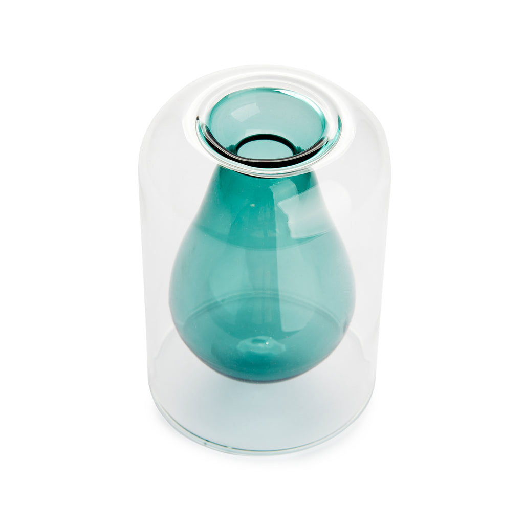 Avocado Vase Seed Grower