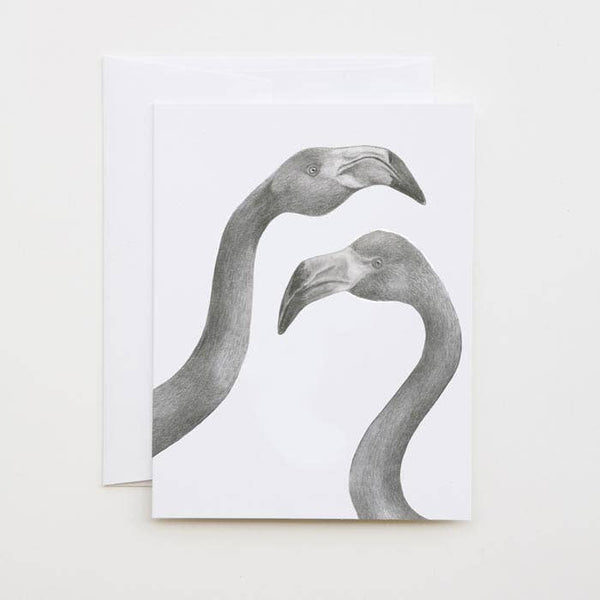 Iggy &amp; Mags Hermano American Flamingo Cameo Money Card