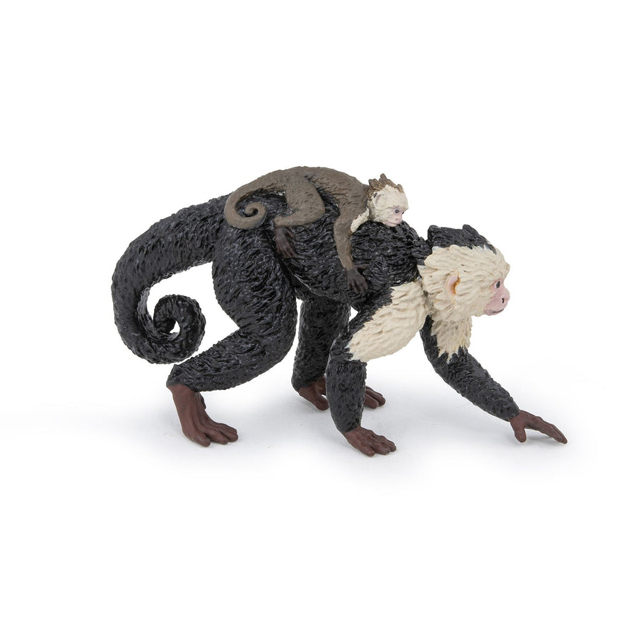 Kapuzineraffe
