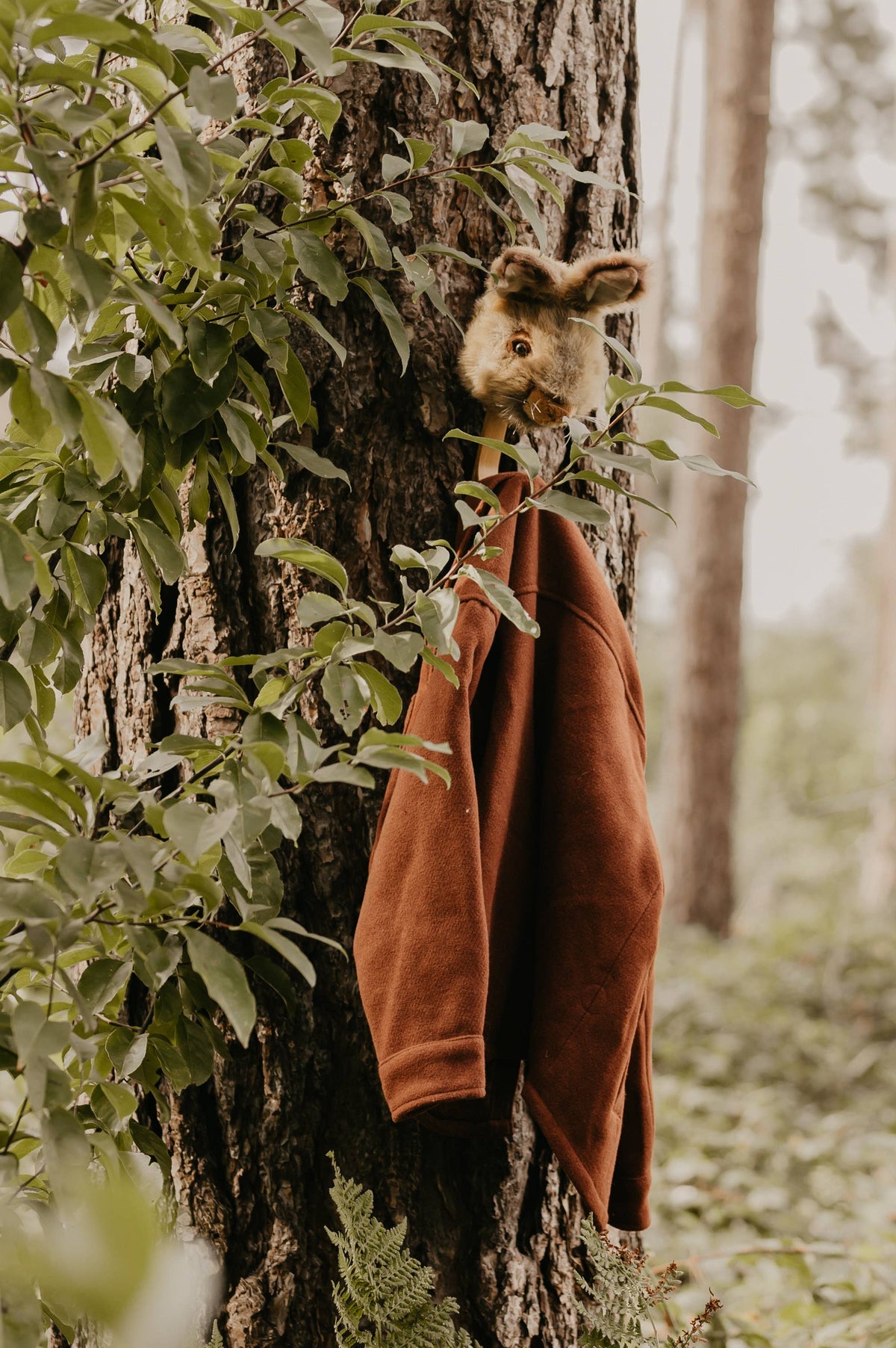 Brown hare coat rack