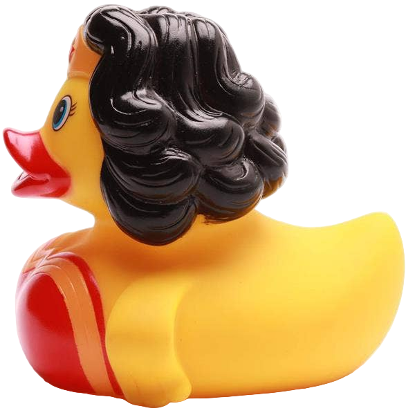 Wonder Duck