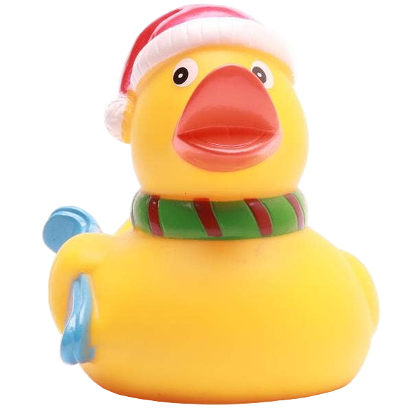 Kerstskiënde eend
