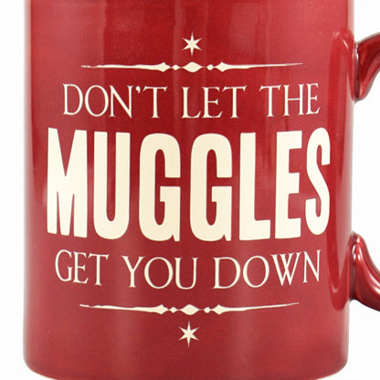 Standaardmok in een doos (400 ml) - Harry Potter (Dreuzels)