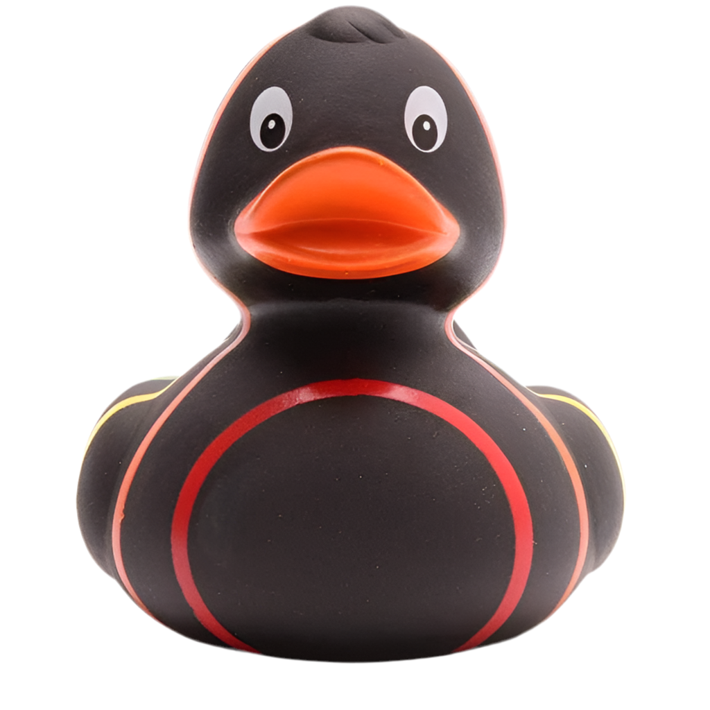 Classic Black Rainbow Duck