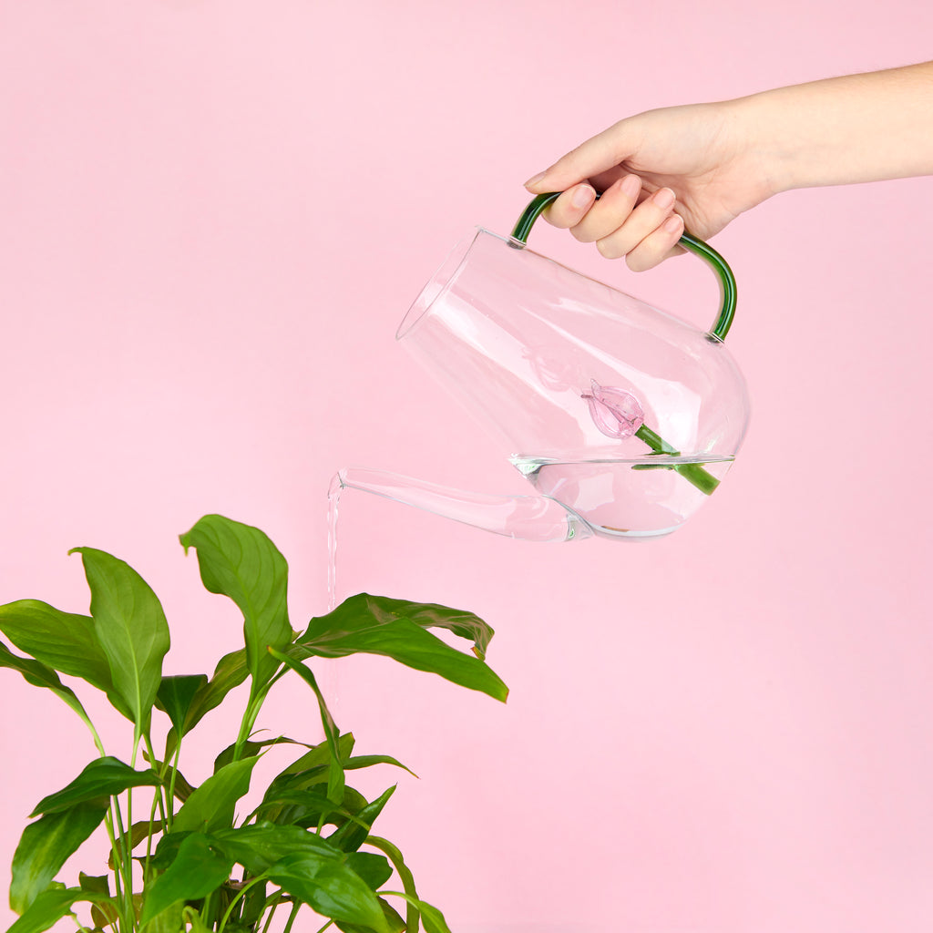 Botanical Tulip Watering Can