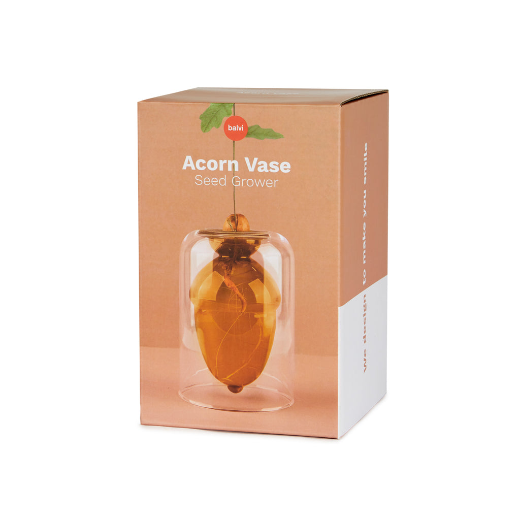 Vase de germination Acorn Vase