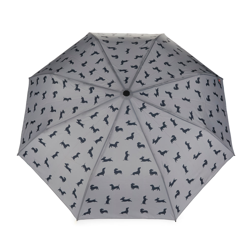Dachshund Umbrella