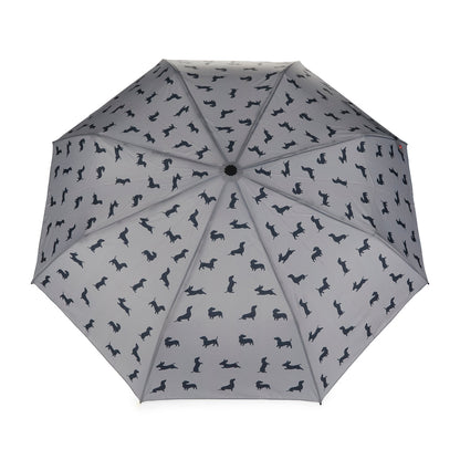 Parapluie Teckel