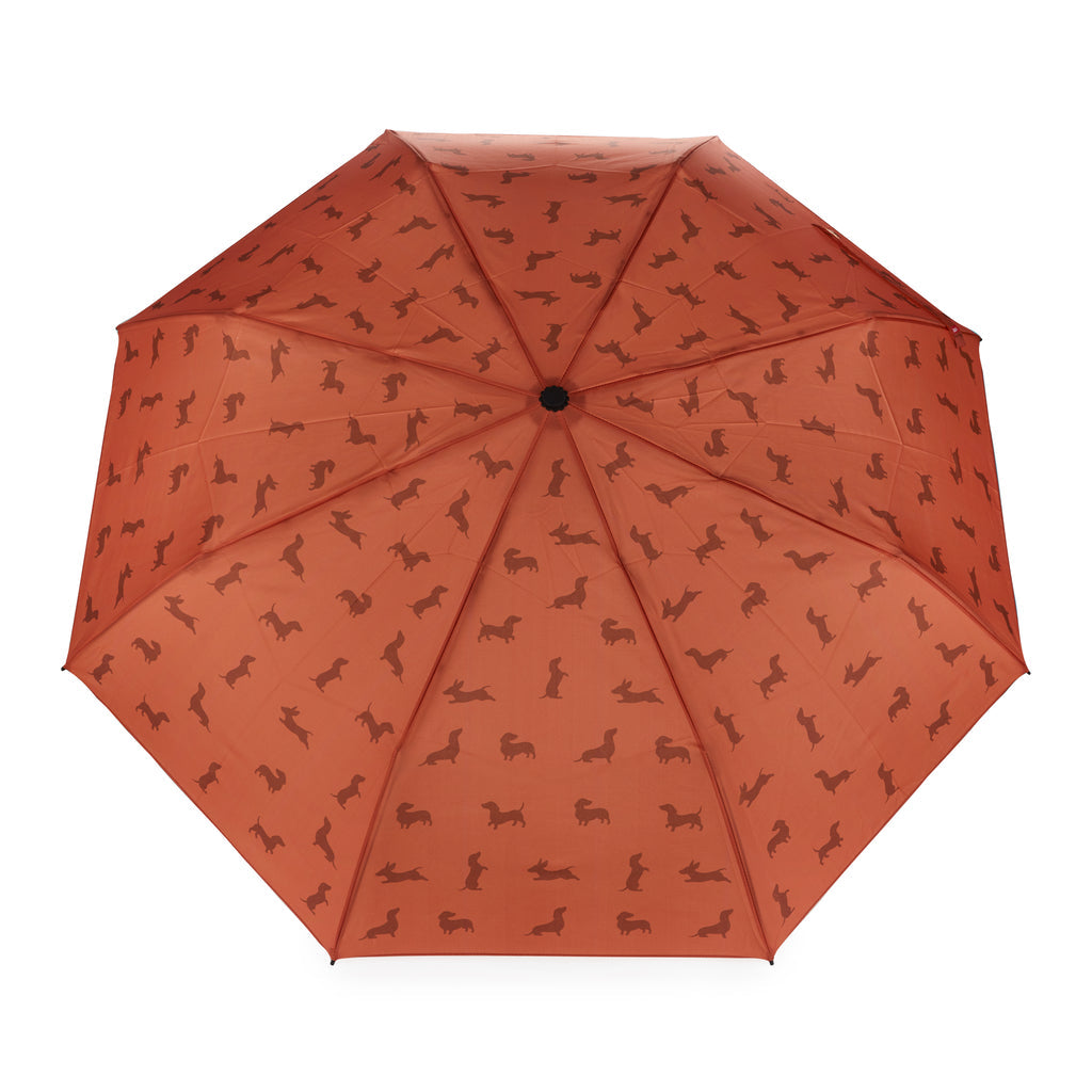 Dachshund Umbrella