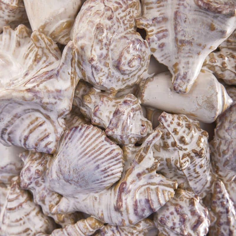 Schelpvaas, natuursteen L