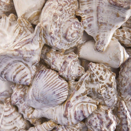 Schelpvaas, natuursteen L