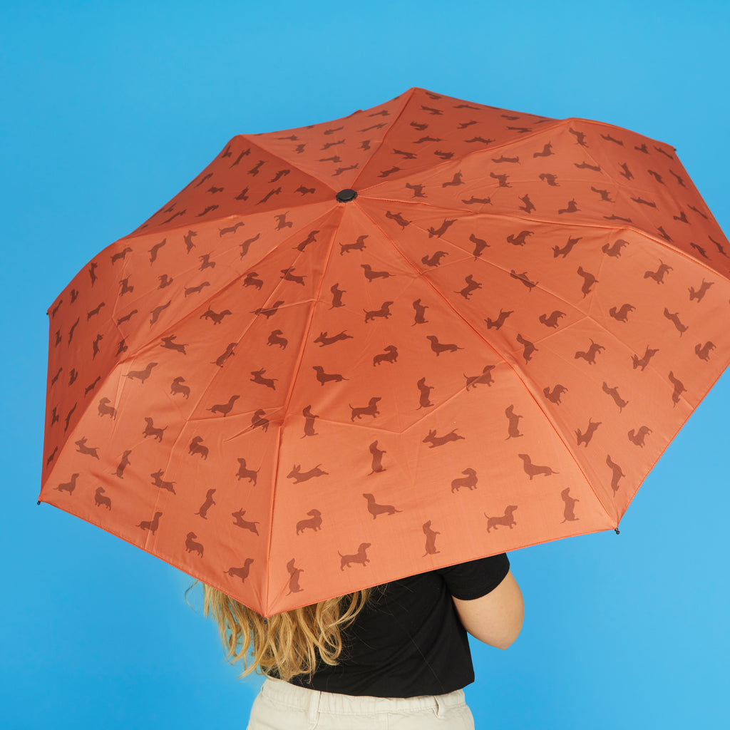 Dachshund Umbrella