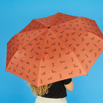 Dachshund Umbrella