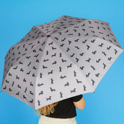 Parapluie Teckel