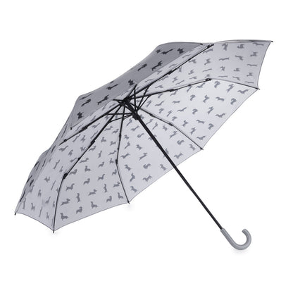 Parapluie Teckel