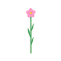 Marque-page Wild rose