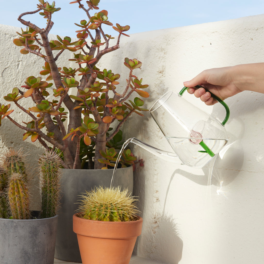 Botanical Tulip Watering Can