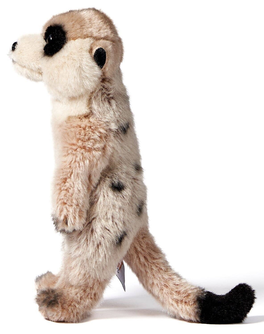 Peluche Suricate