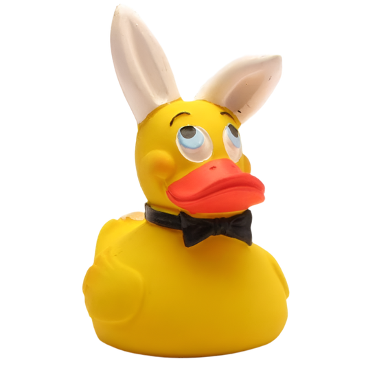 Canard Bunny