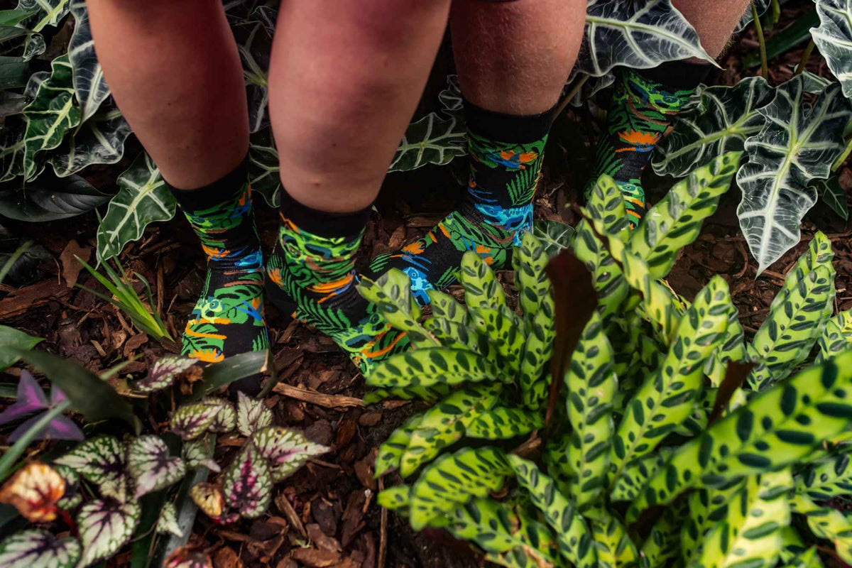 Chaussettes Tintl Chameleon en situation