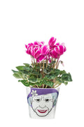 Pot de Fleur Reine