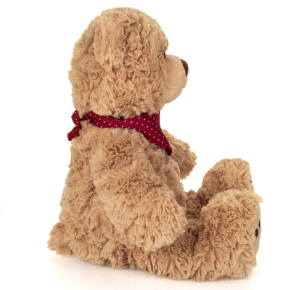 Teddy Curtis pluche knuffel met sjaal
