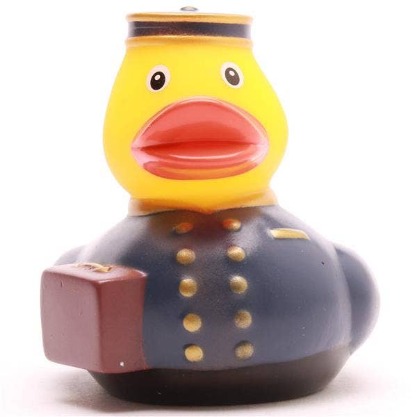 Blue Groom Duck
