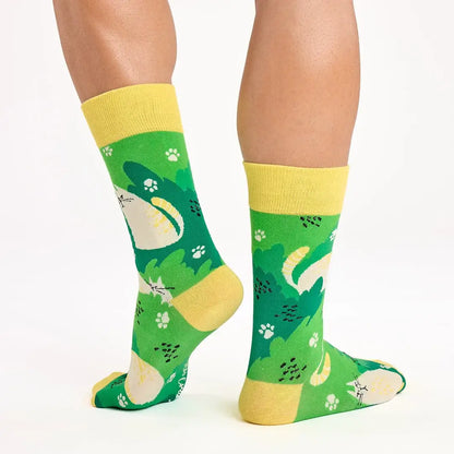 Original pack of 3 pairs of cat-patterned socks with Kitten box