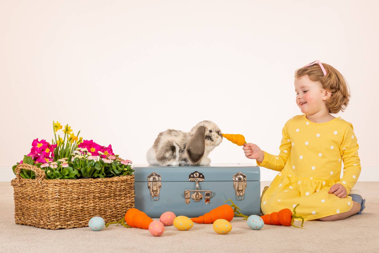 Grey and white Lop Rabbit Plush