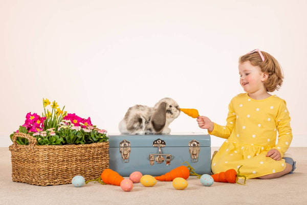 Peluche Lapin Bélier Gris et Blanc - Teddy Hermann