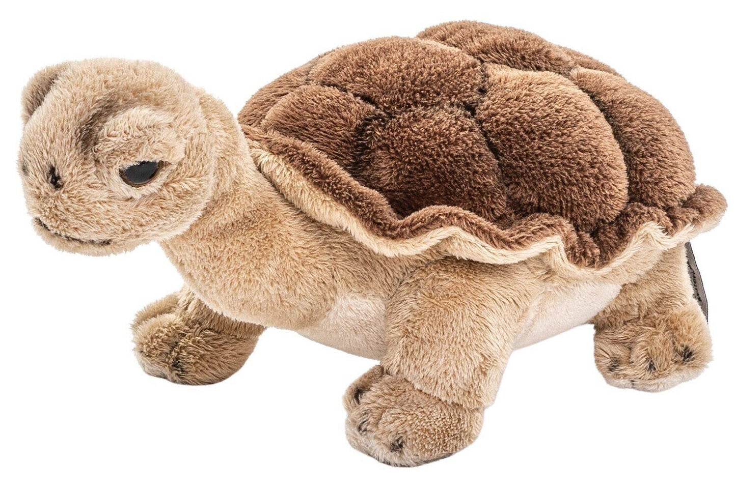 Peluche Tortue