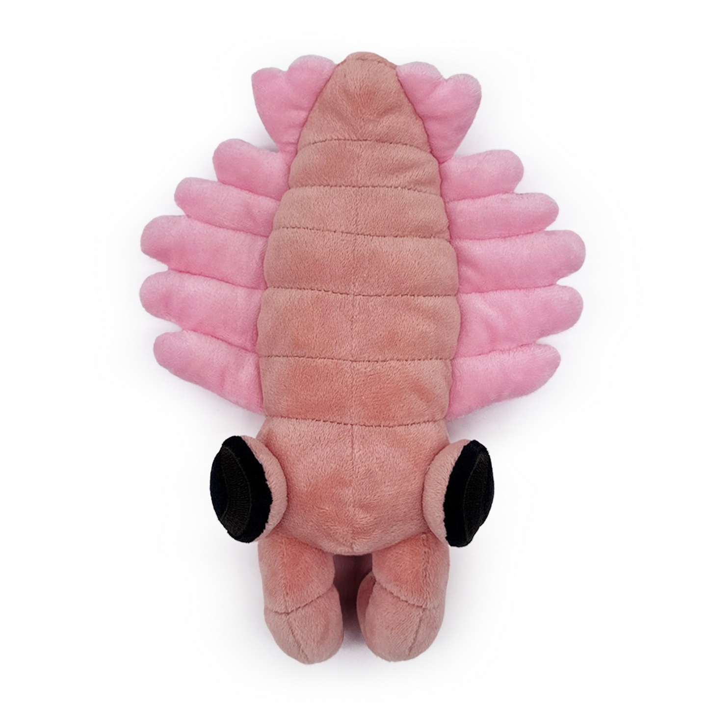 Anomalocaris Plush (9in)