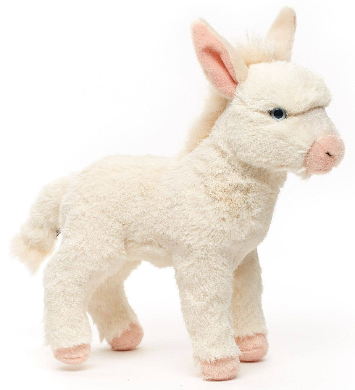 Donkey