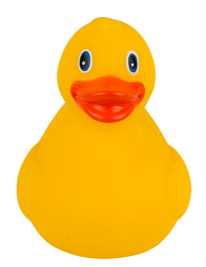Canard Jaune de Bain – vue 6