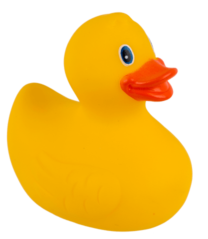 Yellow Squeaking Duck,