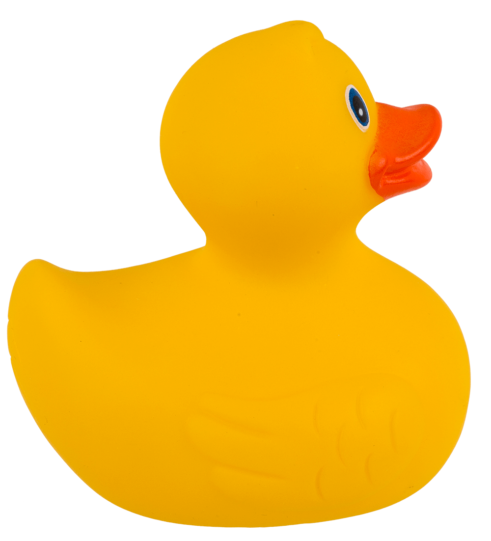 Canard Jaune de Bain – vue 8