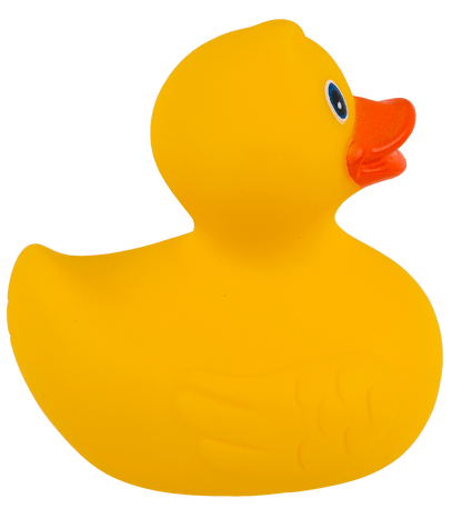 Canard Jaune de Bain – vue 8