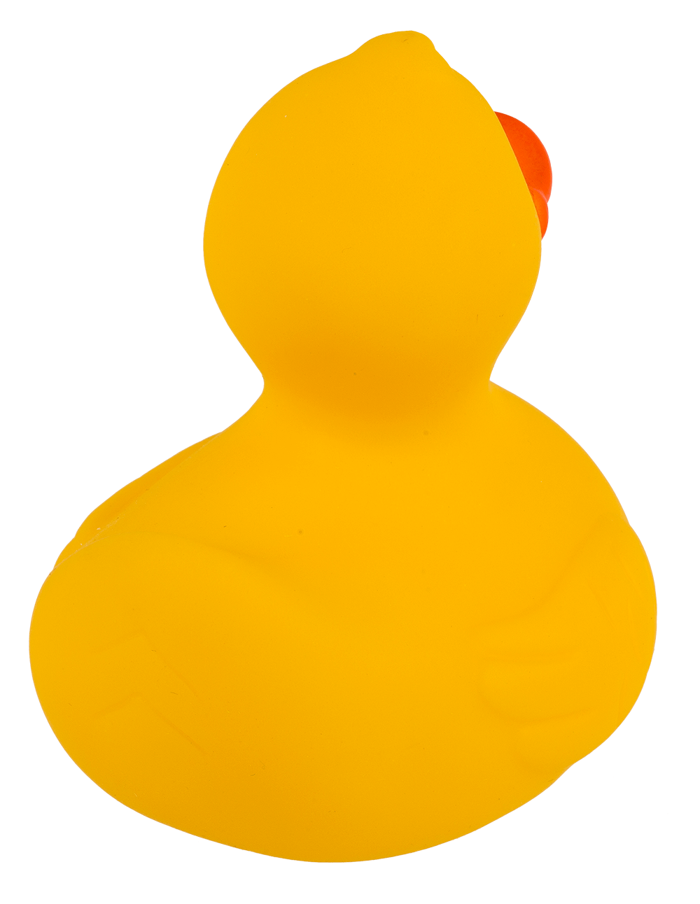 Canard Jaune de Bain – vue 9