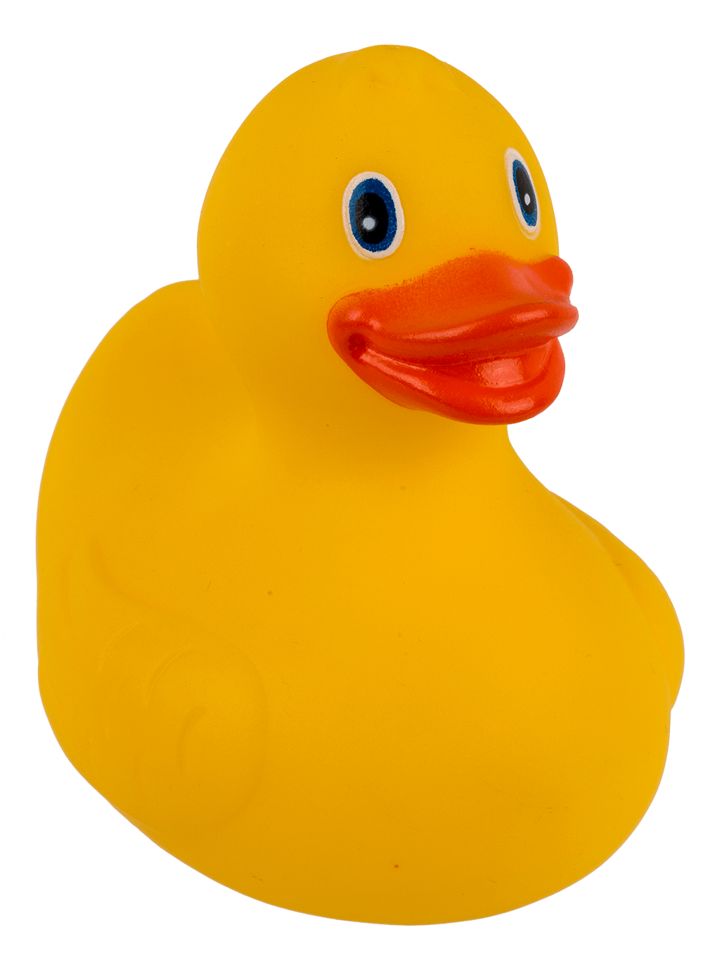 Canard Jaune de Bain – vue 10