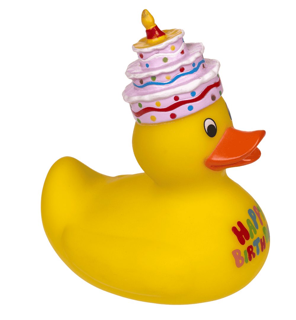 Canard Jaune Anniversaire – vue 5