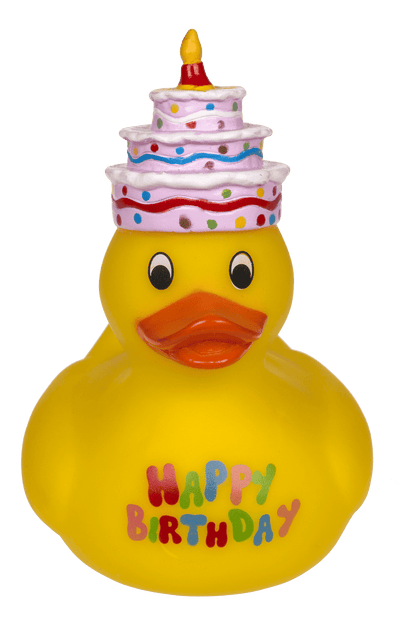 Canard Jaune Anniversaire – vue 6