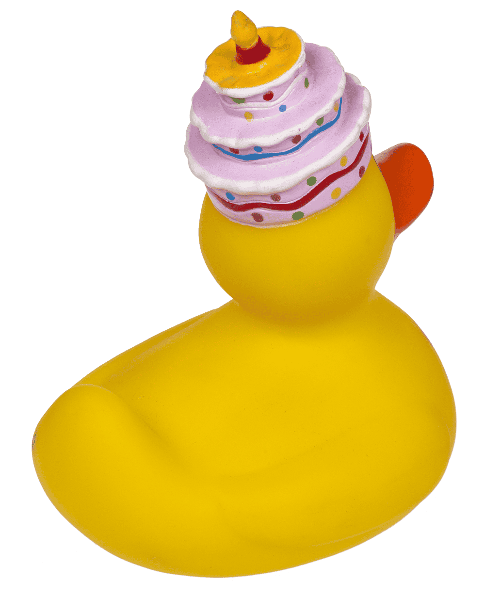 Canard Jaune Anniversaire – vue 7