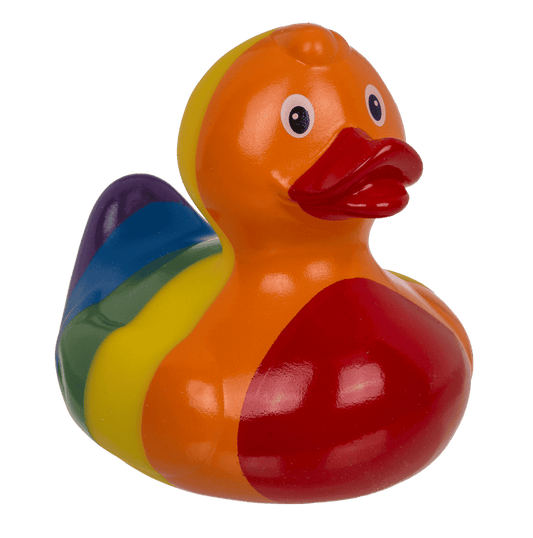 Canard arc-en-ciel – vue 4